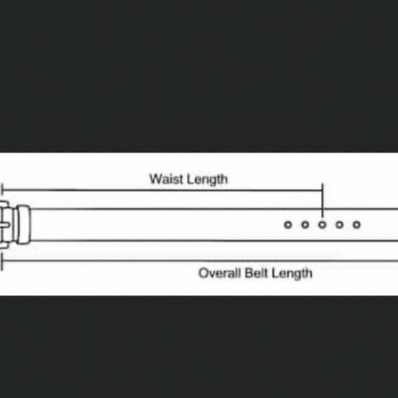 Michael Kors Women's Brown Reversible Pave Logo Belt in Box. NWT - Picture 12 of 16